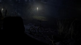   Forest 6174