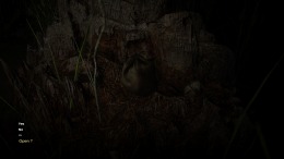  Forest 6174