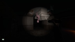   The Echo Paradox
