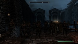The Elder Scrolls V: Skyrim  