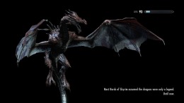   The Elder Scrolls V: Skyrim