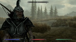 The Elder Scrolls V: Skyrim 