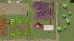  Game of Grass