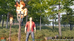   Lost Flight: Survival