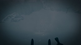  The Last Ski Trip