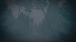   The Last Ski Trip