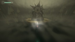   The Shaman's Ark