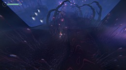   The Shaman's Ark