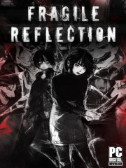 Fragile Reflection