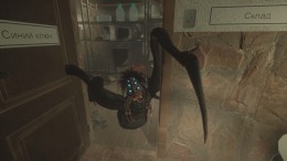 Deadly Contagion  