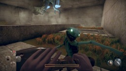   Hunted Within: The Walls