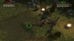   Champions of Norrath