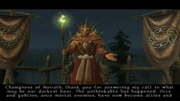 Champions of Norrath PS2