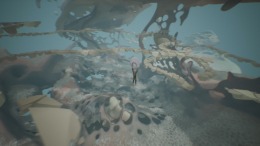 Chasing the Unseen на компьютер