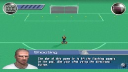  David Beckham Soccer