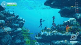 Локация Dive and Dine Simulator