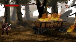  Dragonheart Fire & Steel