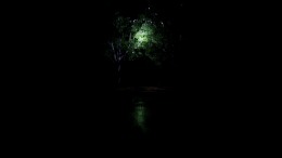   Forest Asylum 2