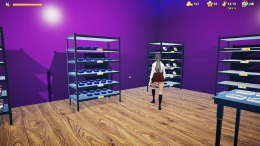 Game Shop Simulator  