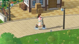 Harvest Moon: Home Sweet Home на PC