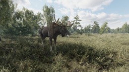 Геймплей On the Hunt