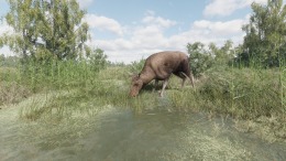 Локация On the Hunt