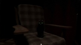 Owl Lights  PC