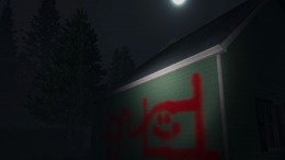 Owl Lights 