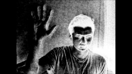 Игровой мир PHYSARUM: Slime Mold Simulator