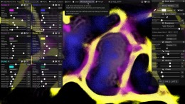 PHYSARUM: Slime Mold Simulator на PC