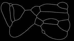 Прохождение игры PHYSARUM: Slime Mold Simulator