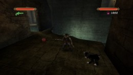   Pirates - Legend of the Black Buccaneer