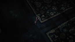 Portrait of a Torn  PC