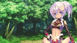  Record of Agarest War Mariage