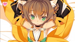   Record of Agarest War Mariage