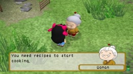 River King - A wonderful journey PS2