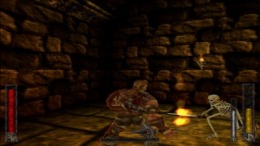 Игровой мир Rune - Viking Warlord