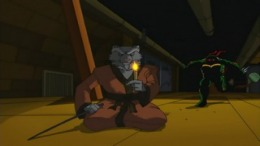  Teenage Mutant Ninja Turtles