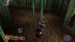   Tenchu 2 - Birth of the Stealth Assassins