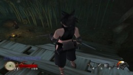   Tenchu - Wrath of Heaven