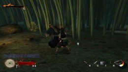  Tenchu - Wrath of Heaven