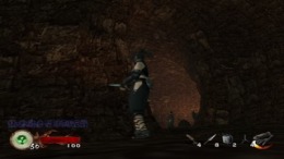 Tenchu - Wrath of Heaven 