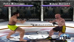  Ultimate Fighting Championship