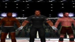   Ultimate Fighting Championship