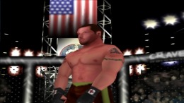  Ultimate Fighting Championship