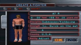   Ultimate Fighting Championship