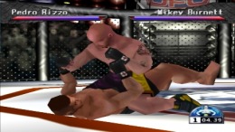   Ultimate Fighting Championship