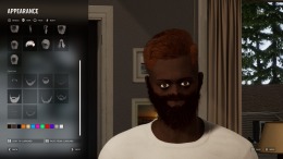 VEIN на компьютер