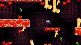  Zool Redimensioned