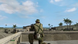   ARMA: Combat Operations